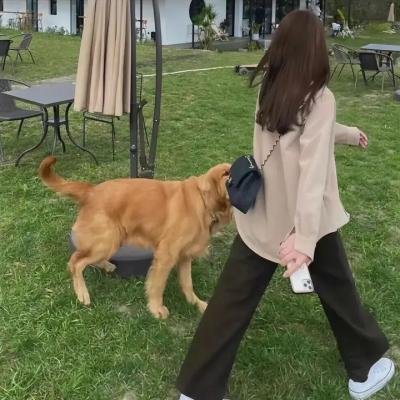 早安